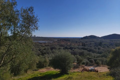 44872m² Land in Corfu, Greece No. 110092 3
