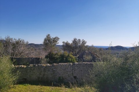44872m² Land in Corfu, Greece No. 110092 7