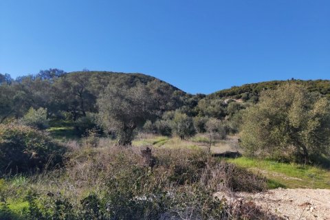 44872m² Land in Corfu, Greece No. 110092 10