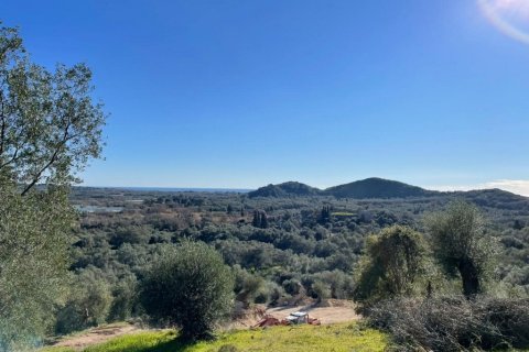 44872m² Land in Corfu, Greece No. 110092 21