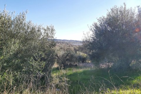 44872m² Land in Corfu, Greece No. 110092 5