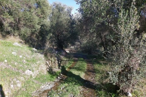 44872m² Land in Corfu, Greece No. 110092 18