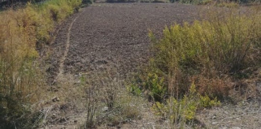 Земельный участок 5000м² в Lam Cot, Вьетнам №14306