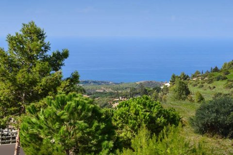 4 rooms Villa à Paphos, Cyprus No. 105240 5