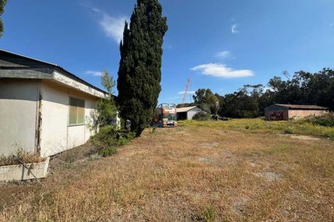 Commercial property in Limassol, Cyprus No. 104304 2