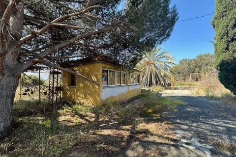 Commercial property in Limassol, Cyprus No. 104304 6