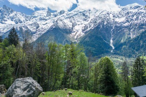 2443m² Land in Les Houches, France No. 99927 3