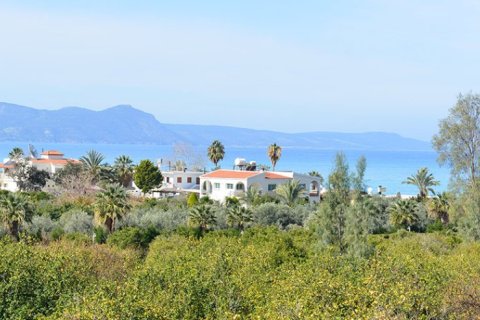 2 rooms Villa in Paphos, Cyprus No. 105545 3