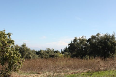 4286m² Land in Chalkidiki, Greece No. 109722 1