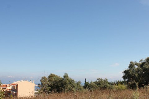 4286m² Land in Chalkidiki, Greece No. 109722 3