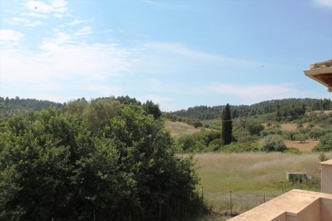 6 bedrooms House in Chalkidiki, Greece No. 60350 5