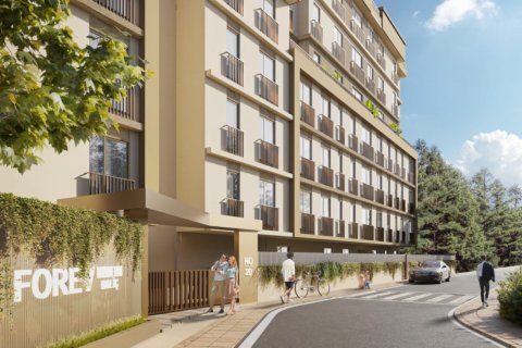 2 bedrooms Apartment in Duong Kinh, Vietnam No. 12459 8