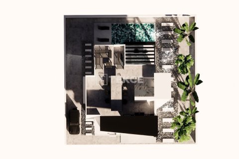 4 bedrooms Villa in Vinh Hoa, Vietnam No. 20828 15