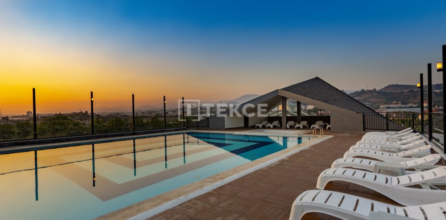 1 bedroom Apartment in Chau Lang, Vietnam No. 92193