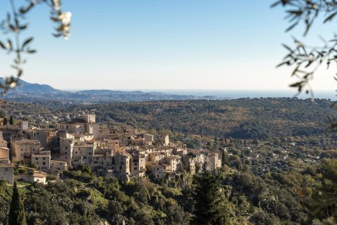 6 bedrooms House in Tourrettes-sur-Loup, France No. 74631 3