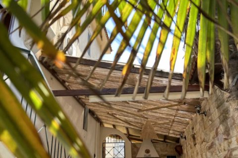 2 chambres Villa à Thasos, Greece No. 113353 4