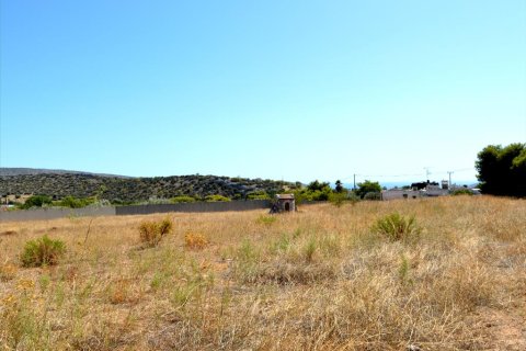 4 bedrooms House in Vari, Greece No. 58501 5