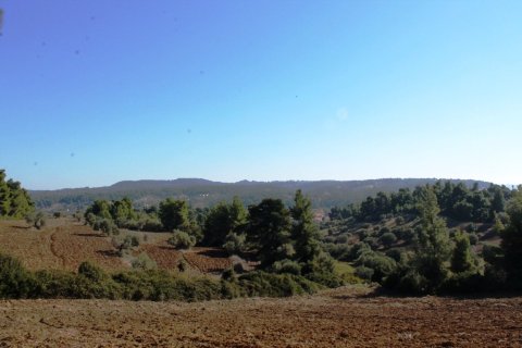 9500m² Land en Chalkidiki, Greece No. 58977 6