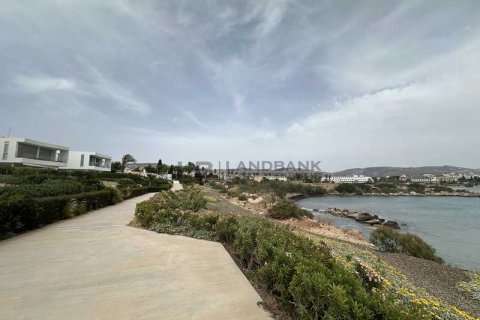 3 dormitorios Villa en Pegeia, Cyprus No. 63218 10