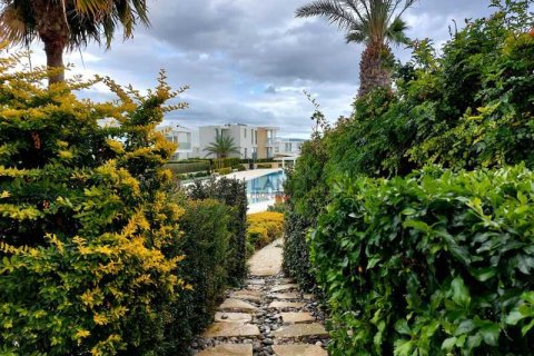 3 dormitorios Villa en Pegeia, Cyprus No. 63218 16