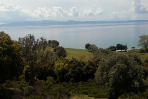 8500m² Land en Chalkidiki, Greece No. 107847 4