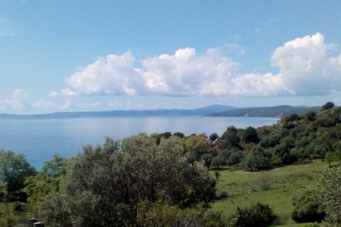 8500m² Land en Chalkidiki, Greece No. 107847 2