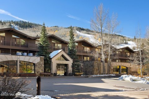 1 bedroom Condo in Vail, USA No. 69418 21