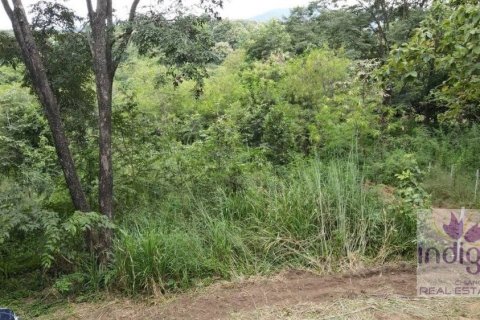 Land in Chiang Mai, Thailand No. 97673 4