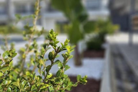 5 rooms Apartment in Lien Chieu, Vietnam No. 21096 21