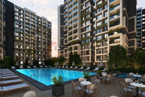 1 bedroom Apartment in Vinh Bao, Vietnam No. 80408 4