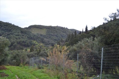 30000m² Land en Corfu, Greece No. 56609 2