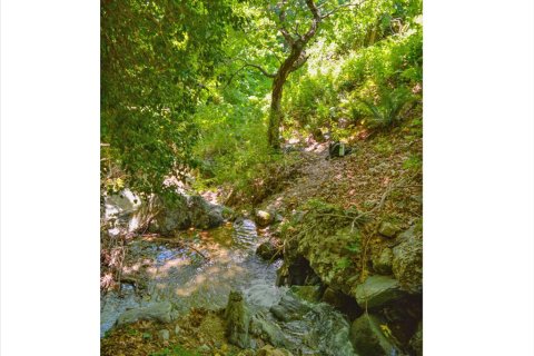 43000m² Land in Zagora, Greece No. 56428 3