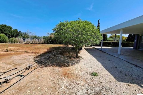 5 chambres House à Protaras, Cyprus No. 29724 5