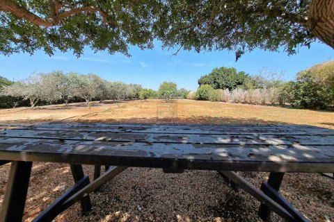 5 chambres House à Protaras, Cyprus No. 29724 6