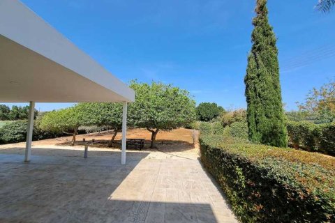 5 chambres House à Protaras, Cyprus No. 29724 14