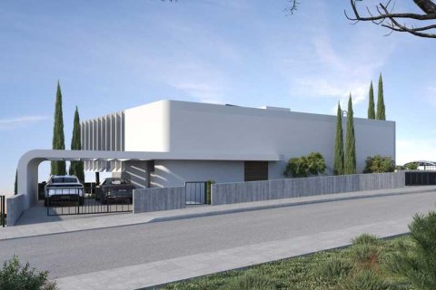 6 bedrooms Villa in Agios Tychonas, Cyprus No. 101860 5