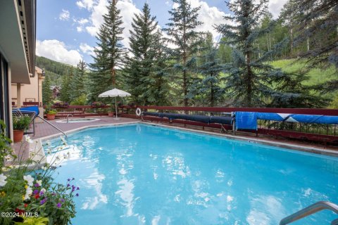 4 bedrooms Condo  in Beaver Creek, USA No. 71845 22