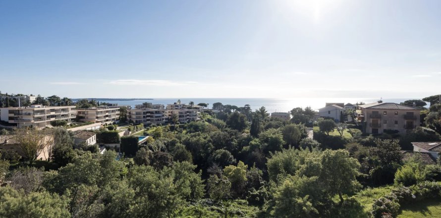 2 bedrooms Apartment in Cannes, France No. 73484