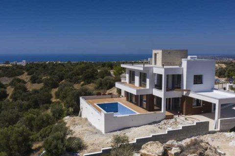 4 bedrooms Villa in Kouklia, Cyprus No. 101134 5