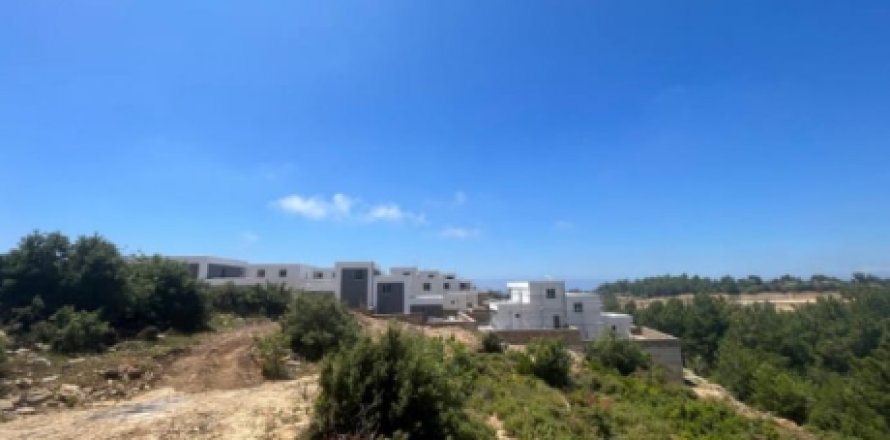 4 bedrooms Villa in Co Do, Vietnam No. 13824