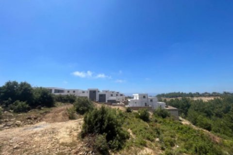 4 bedrooms Villa in Okurcalar, Turkey No. 13824