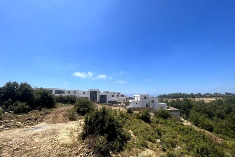 4 bedrooms Villa in Co Do, Vietnam No. 13824 10