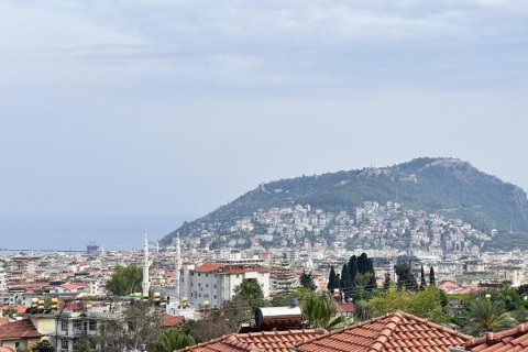 3 rooms Villa à Chau Lang, Vietnam No. 21791 12