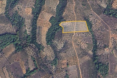 27000m² Land à Chalkidiki, Greece No. 108520 4