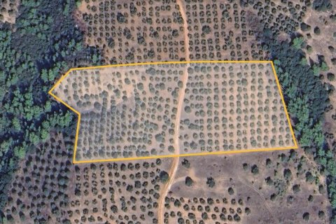 27000m² Land à Chalkidiki, Greece No. 108520 2