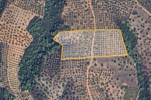 27000m² Land à Chalkidiki, Greece No. 108520 3