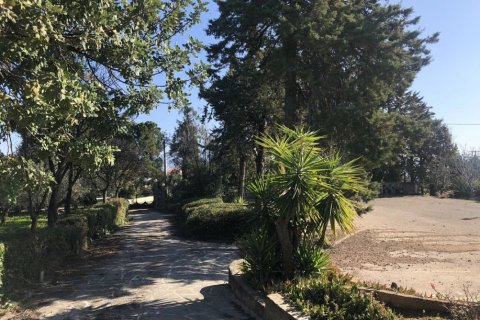 Вилла с 3 спальнями в Центральная Греция, Греция №61663 5