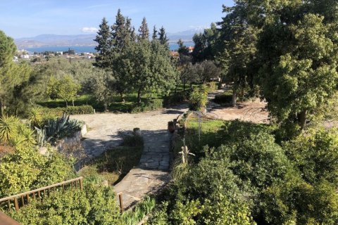 Вилла с 3 спальнями в Центральная Греция, Греция №61663 15