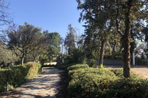 Вилла с 3 спальнями в Центральная Греция, Греция №61663 6