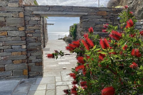 5 bedrooms Villa in Kea, Greece No. 117886 17